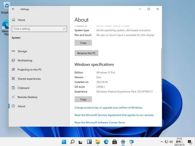 Windows 11 Professional Pre-Activated Download